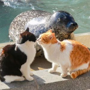 不想让你早点回家(prod.by Morrow)