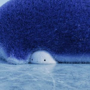 这条小鱼在乎 (I'm a little fish)