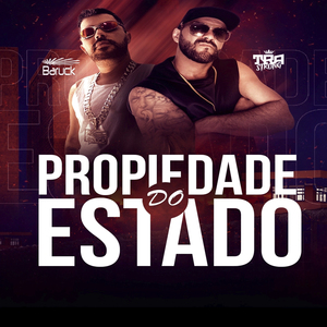 Propriedade do Estado