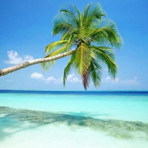 街灯下你的背影