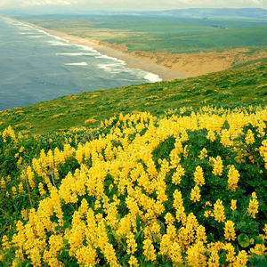 2024祝自己心之所向行之所往