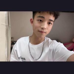 你是我心内的一首歌