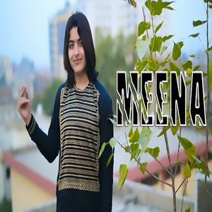 Meena (New)