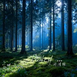 Faded Love (人间清醒 Remix)