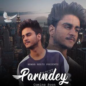Parindey