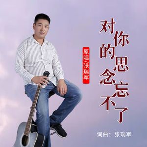对你的思念忘不了（伴奏）
