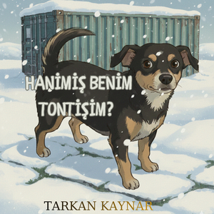 Hani̇mi̇ş Beni̇m Tonti̇şi̇m?