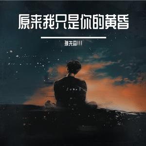 原来我只是你的黄昏
