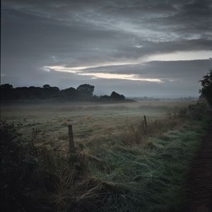 Echoes from Essex Fields