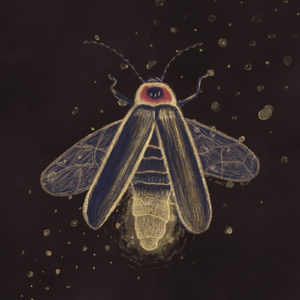 Ninakuru