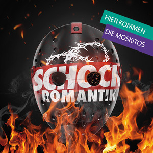 Hier kommen die Moskitos