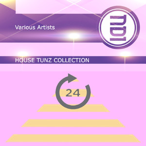 Whatever It Takes (feat. Vanessa Smith) (Judge Jay & Luca Colombo Remix)