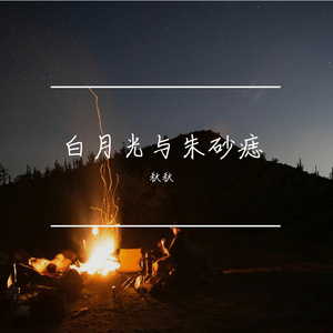 白月光与朱砂痣