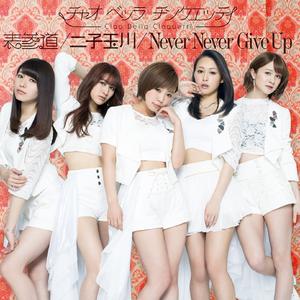 Never Never Give Up (Instrumental)