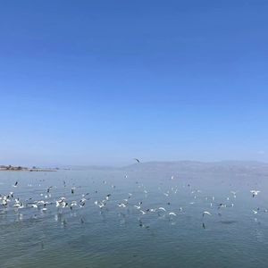 视频提取音频_再见1711783247826