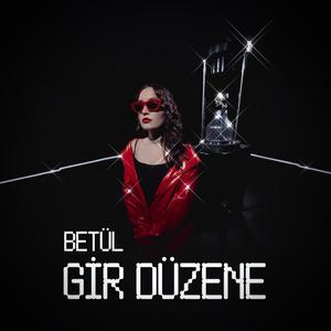 Gir Düzene