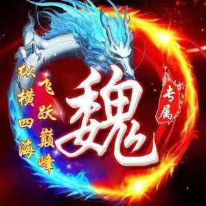 魏氏兄弟 (第一部)