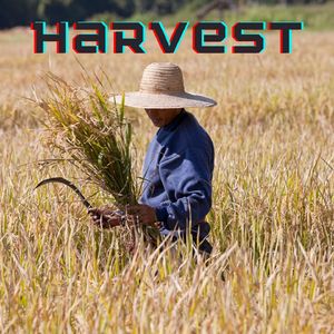 Harvest