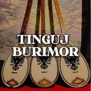 Deshmorit Ibrahim Thaqi