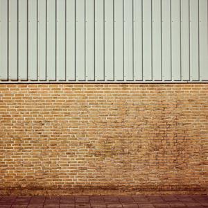 Reptielenbrein (feat. Frietboer & Midget Ferarra)