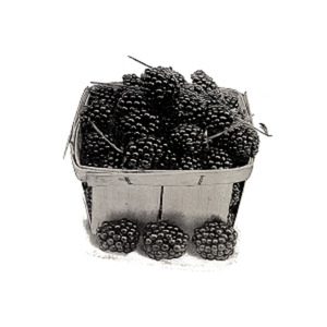 Do Mito da Mobilidade Social, Ca. 2010S