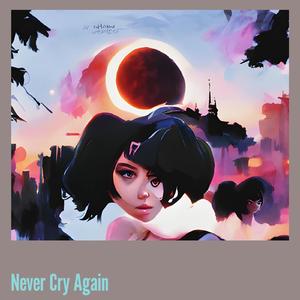Never Cry Again