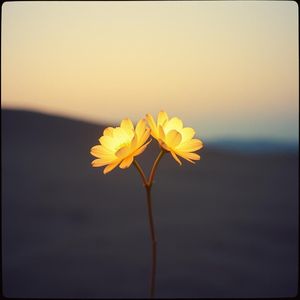 一起的时光