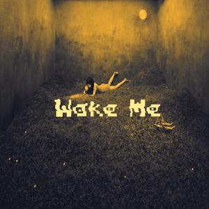 Wake Me (Original Mix)