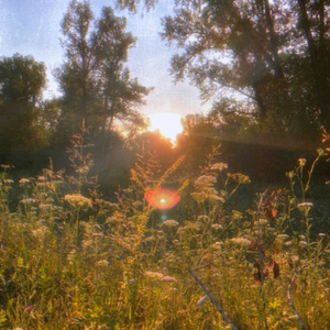 silent noon (speed up)