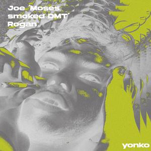 Joe 'Moses smoked DMT' Rogan