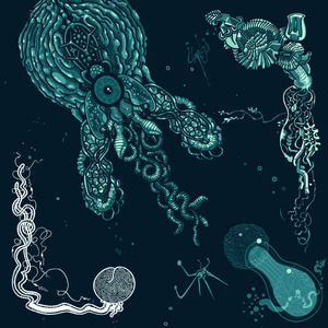 Let's Go (Dr. Who Dat? Remix)