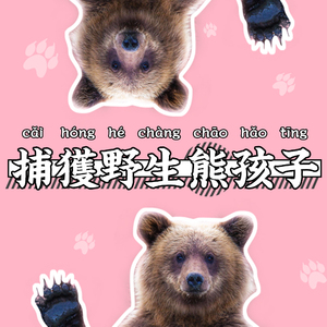 捕获野生熊孩子