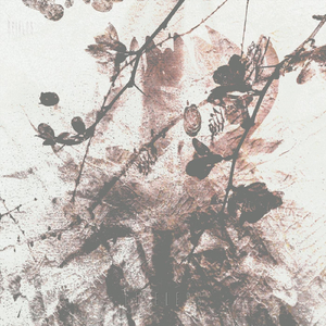 The Journey to Oblivion