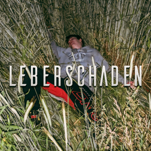 Leberschaden (Remix)