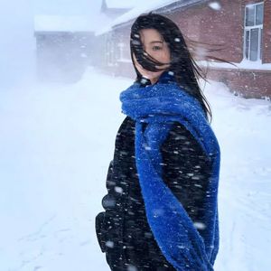雪落梅枝俏