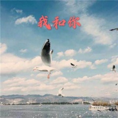 天涯路漫漫长 (DJ版)