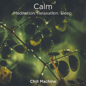 Sounds of a City Park