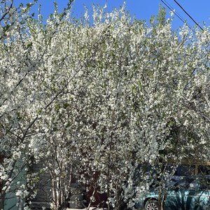 Я так хочу быть с тобой