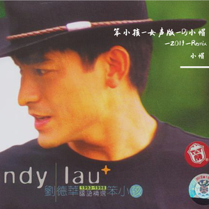 刘德华-笨小孩_Dj小帽_（追忆翻唱80年代经典老歌女声版）2019Remix（小帽 remix）
