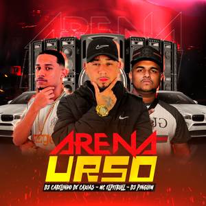 ARENA URSO