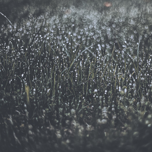 Tiempo De Deslizamiento