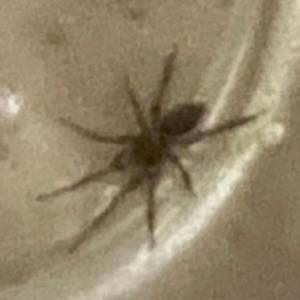 TIES, BINDS, GOODBYES