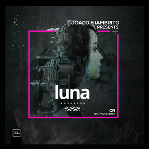 Luna (Vinicius Ribbas Remix)