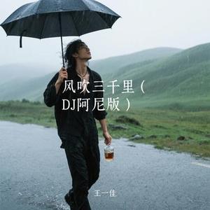 风吹三千里 (DJ阿尼版)