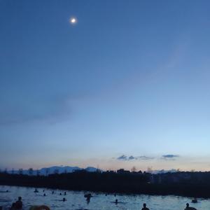 洋葱（温柔男声）