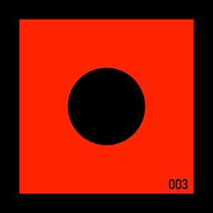 Schizophrenic Raver (Original Mix)