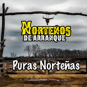 Para Buscar Libertad