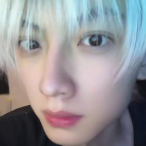 [鸽子神]灵感菇