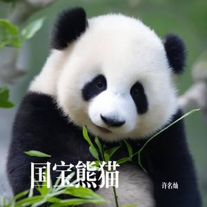 国宝熊猫