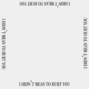 i didn’t mean to hurt you